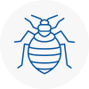 Bed Bug Extermination In Billingham On Tees