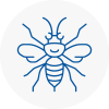 Billingham On Tees Hornet Nest Removals