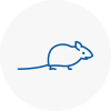 Mice Exterminators In Billingham On Tees