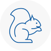 Billingham On Tees Rodent Removals