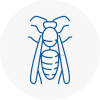 Billingham On Tees Wasp Nest Removal